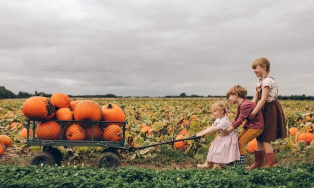 Wskocz w kalosze, złap jedną z taczek i odkryj farmę Beverley Pumpkin Patch!